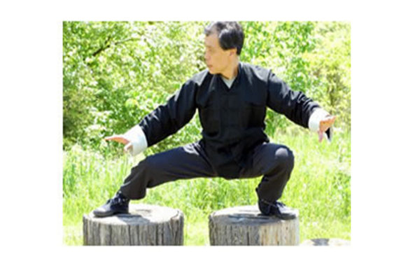 Internal Martial Arts