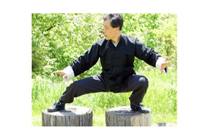 Internal Martial Arts