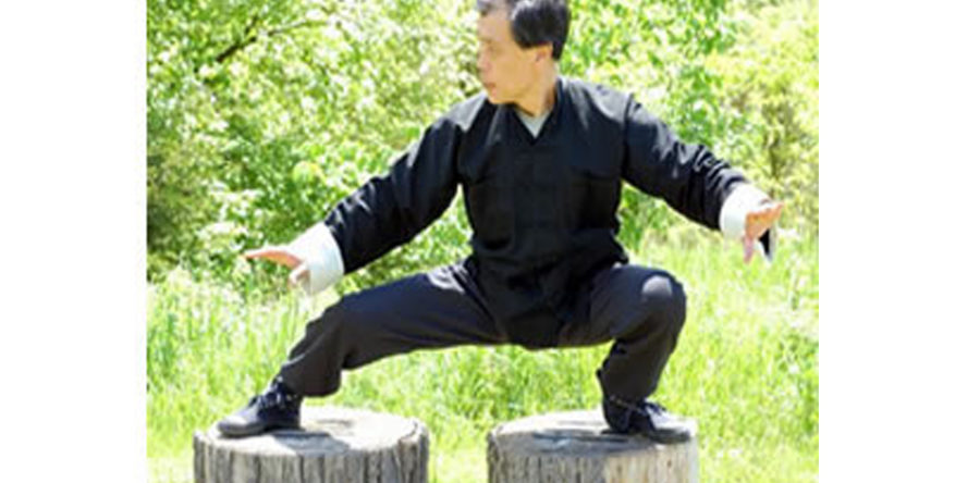 Internal Martial Arts