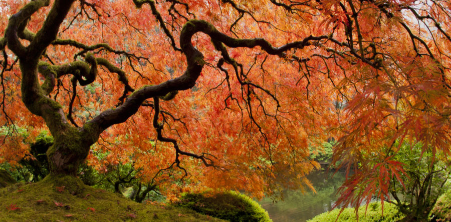 How can we make real changes in our lives?