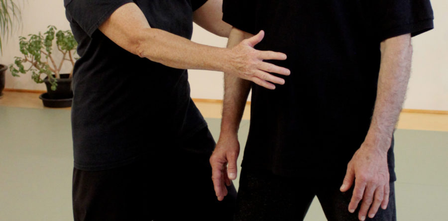 Medical Qigong Workshops