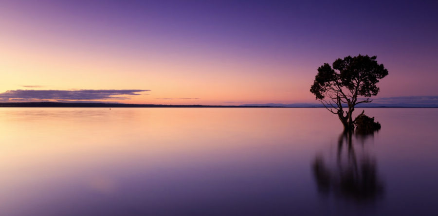 Year of the Rooster Annual Dinner, Welcome Speech