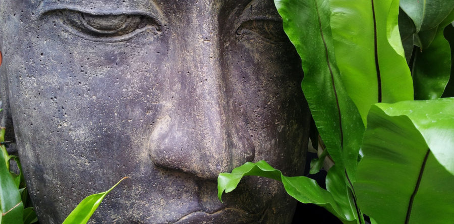 What is “Right Effort” in Mindfulness Meditation?
